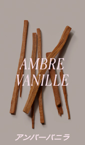 Ambre Vanilla