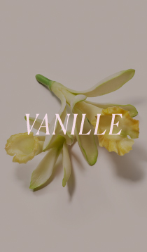 VANILLA