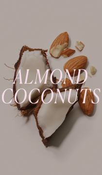 ALMOND COCONUTS